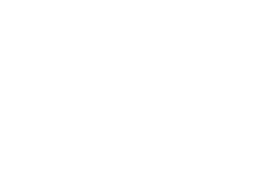 International Movement Disorders Summit