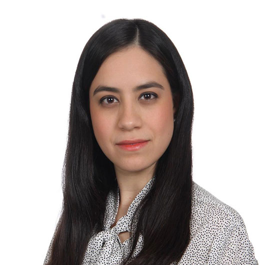 Dra. Sara Isais Millán